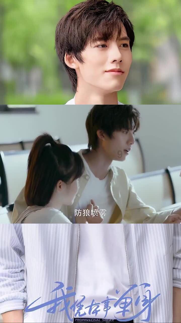 奥日与精灵意志